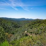Stockton Creek Preserve Trailhead
