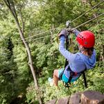 Tree Frog Canopy Tours