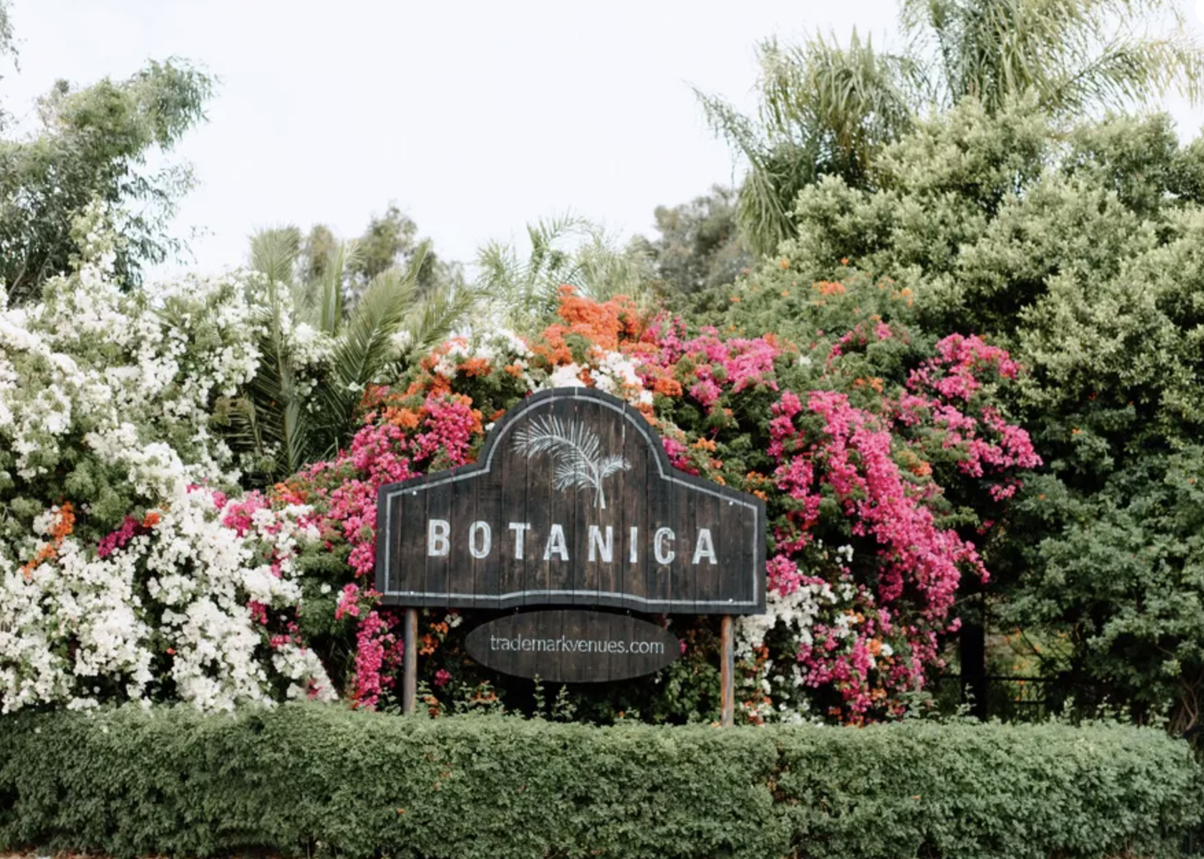 The Wedding Website of Chelsea Norton and Sean Marden