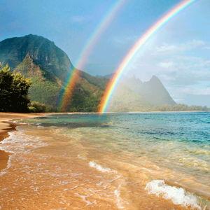 Honeymoon Fund for Hawaii
