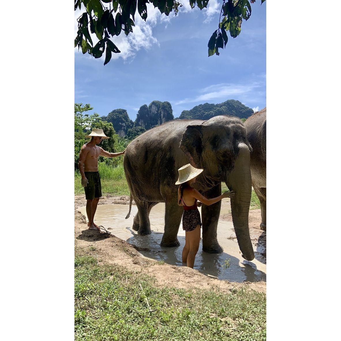 Day with the elephants in Thailand
