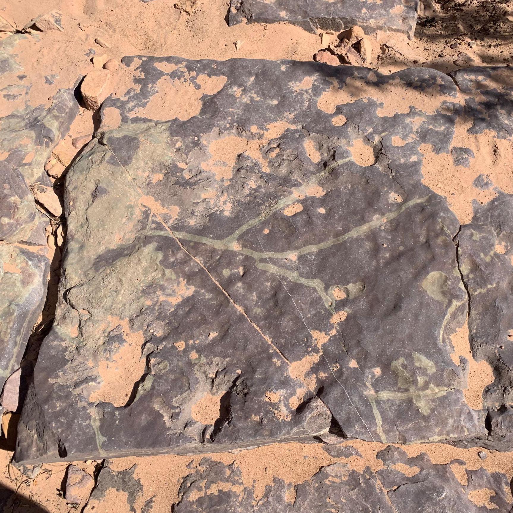 Rock blood is not actually green - rather, refraction causes the deoxygenated sand to appear that way.