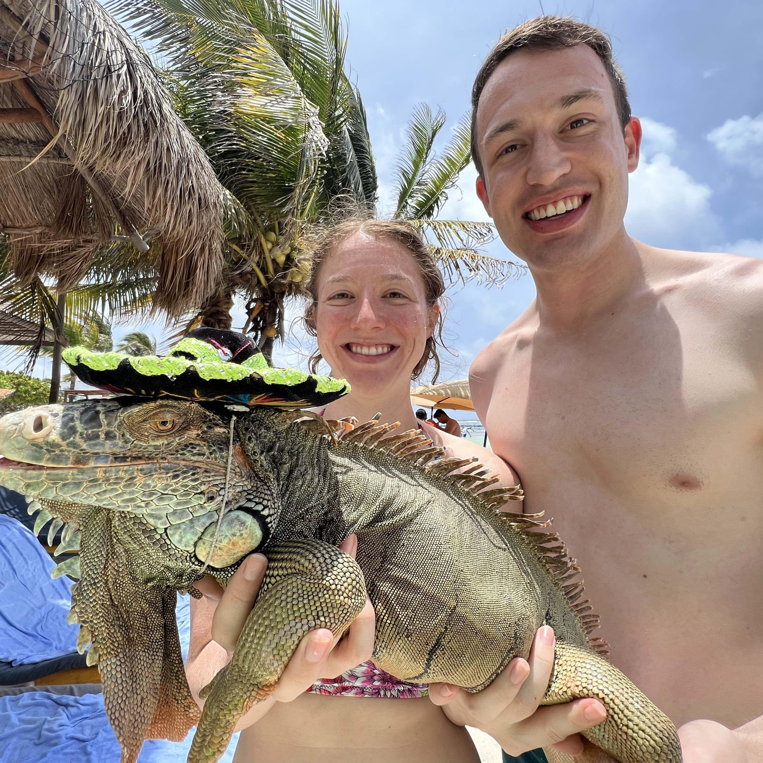 Meeting Iguanas in Mexico