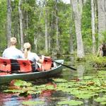 Cypress Gardens