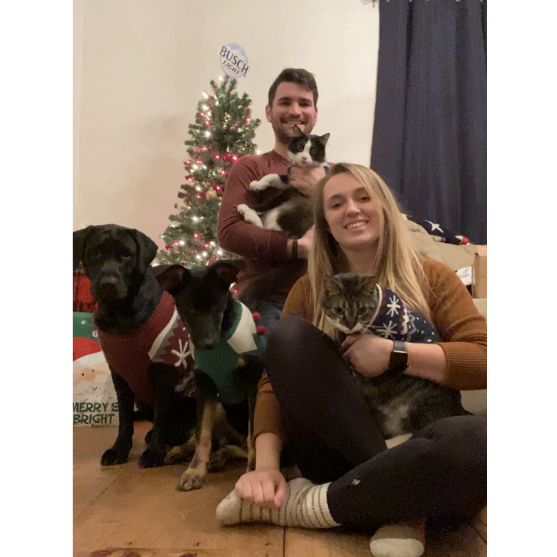 Christmas with all our fur babies