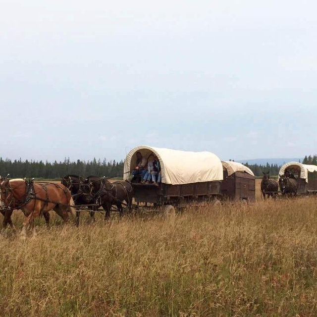 Jackson Hole Chuckwagon Dinner