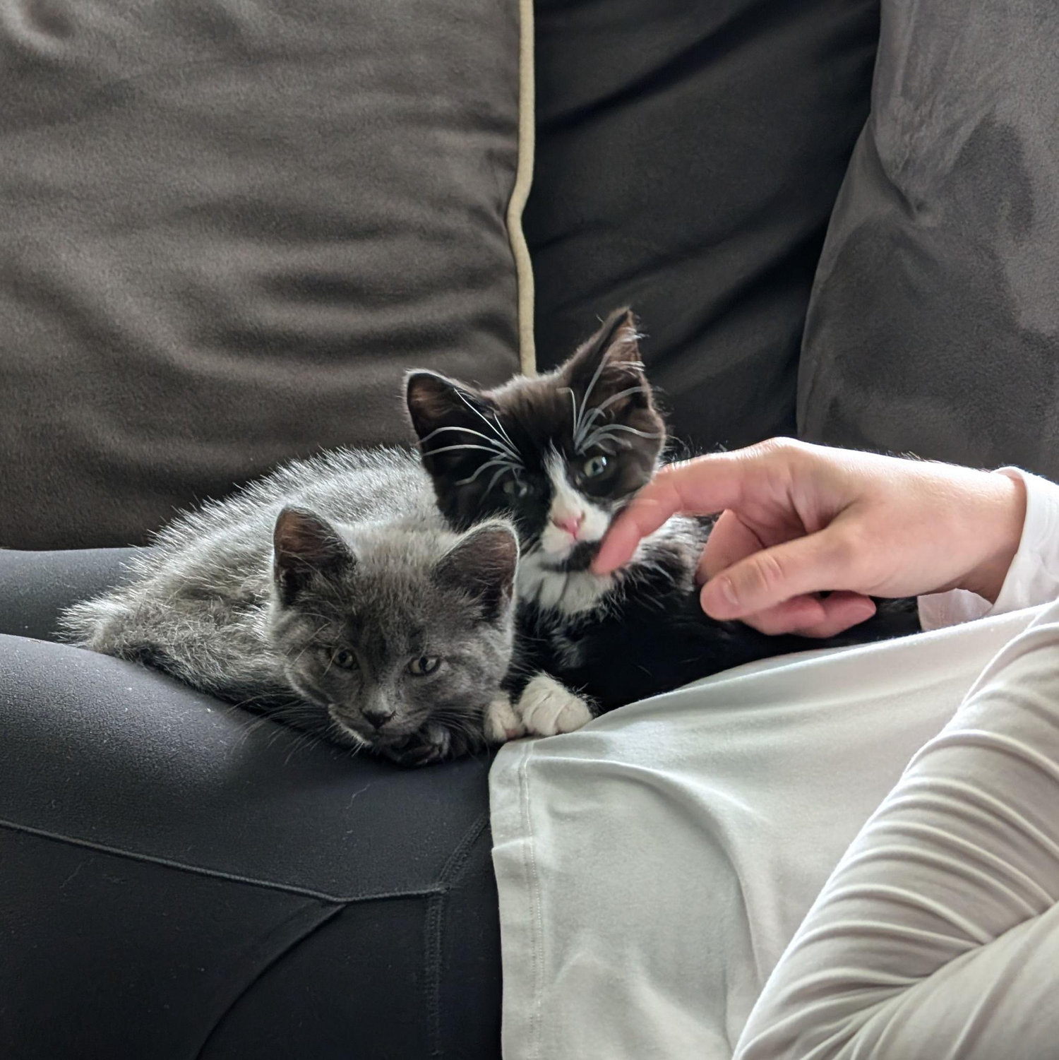 Piper & Phoebe