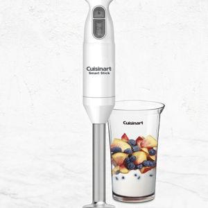 Immersion Blender