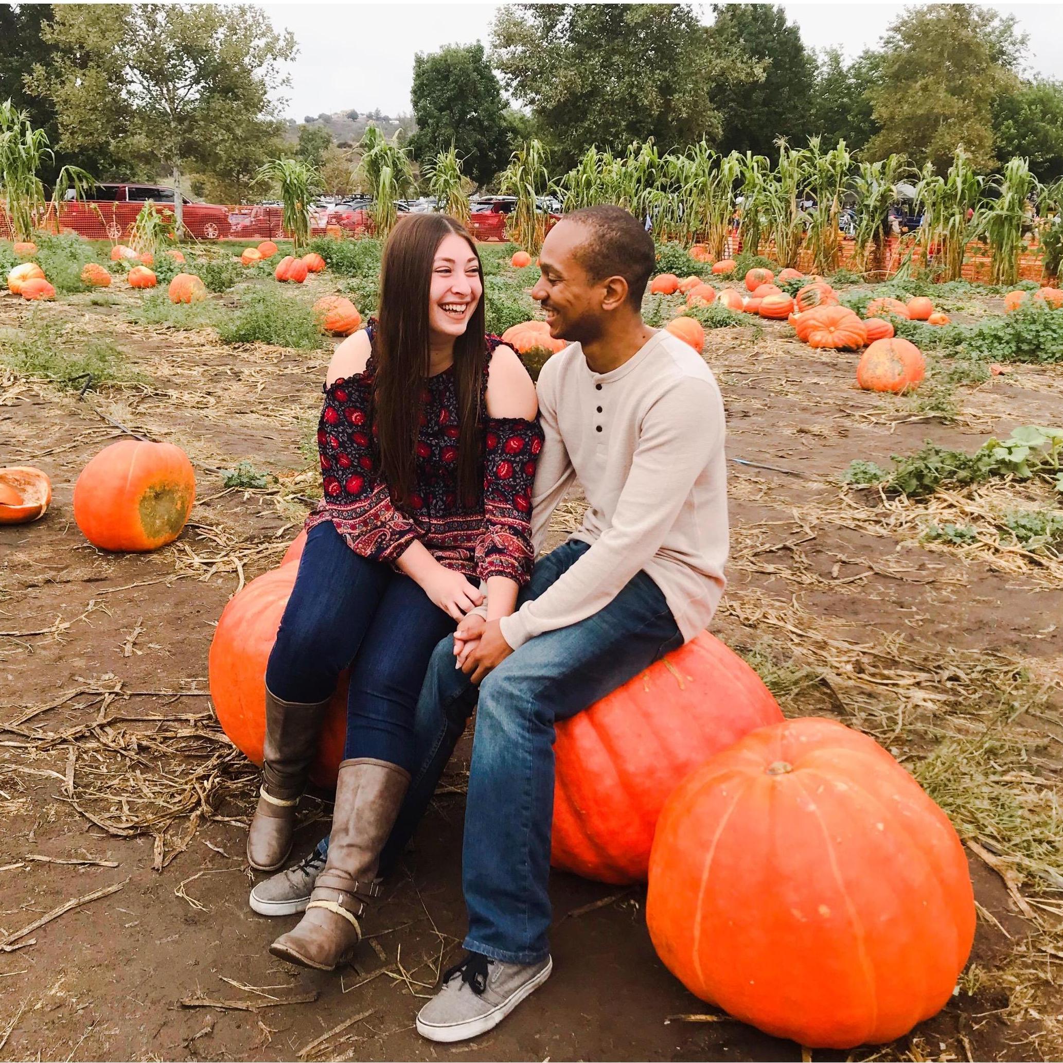 PUMPKIN PATCH