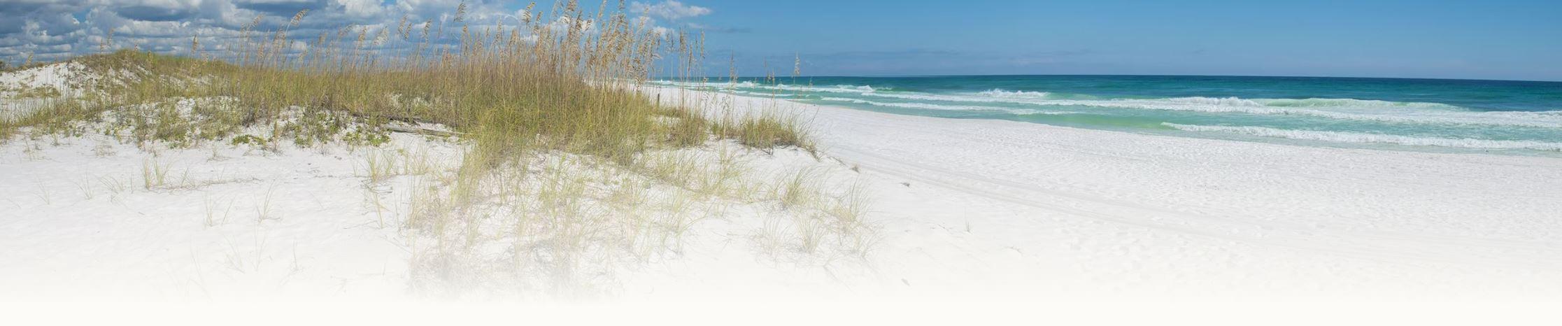 The Wedding Website of Adam Abdul Kafi and Diana Sabbagh