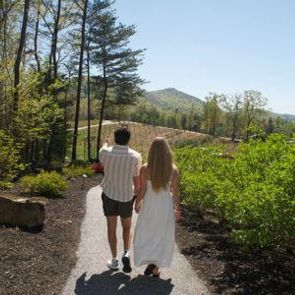 Our newlywed fund