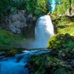 Sahalie Falls Viewpoint