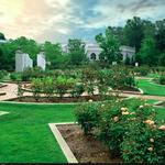 Birmingham Botanical Gardens