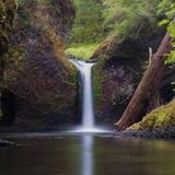 Hike - Punch Bowl Falls