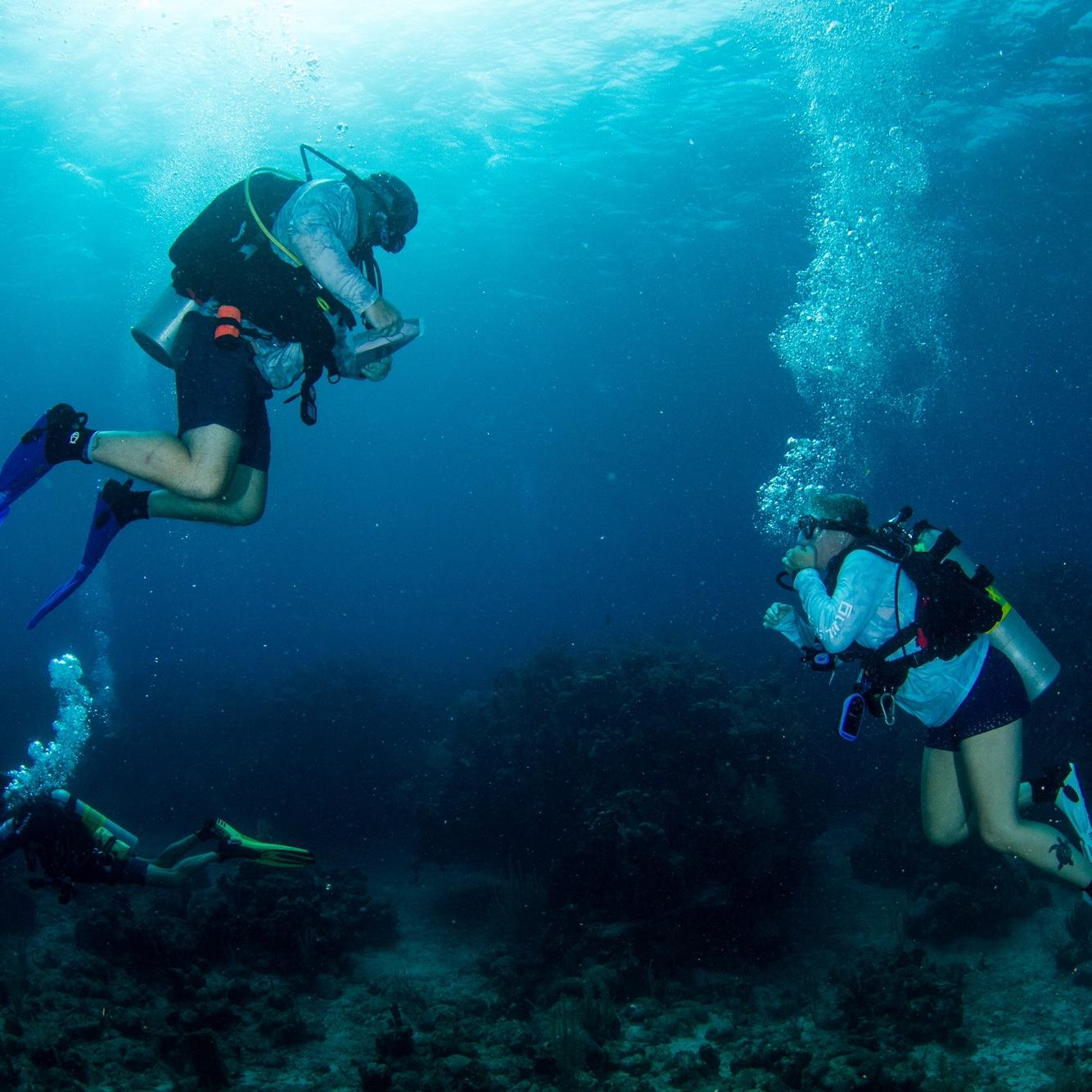 When Kermit purposed!