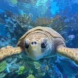 New England Aquarium