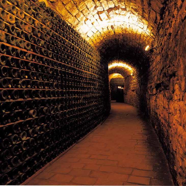 Wine Tasting For Two While Honeymooning in Italy