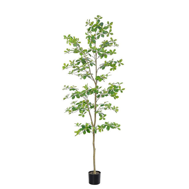 Bellacat Faux Black Olive Tree 7ft, Tall Faux Trees Indoor with Natural Trunk and Realistic Leaves. 7 Feet(84in) Artificial Tree for Home Office Décor.