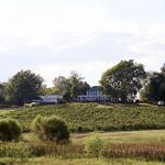 Defiance Ridge Vineyards
