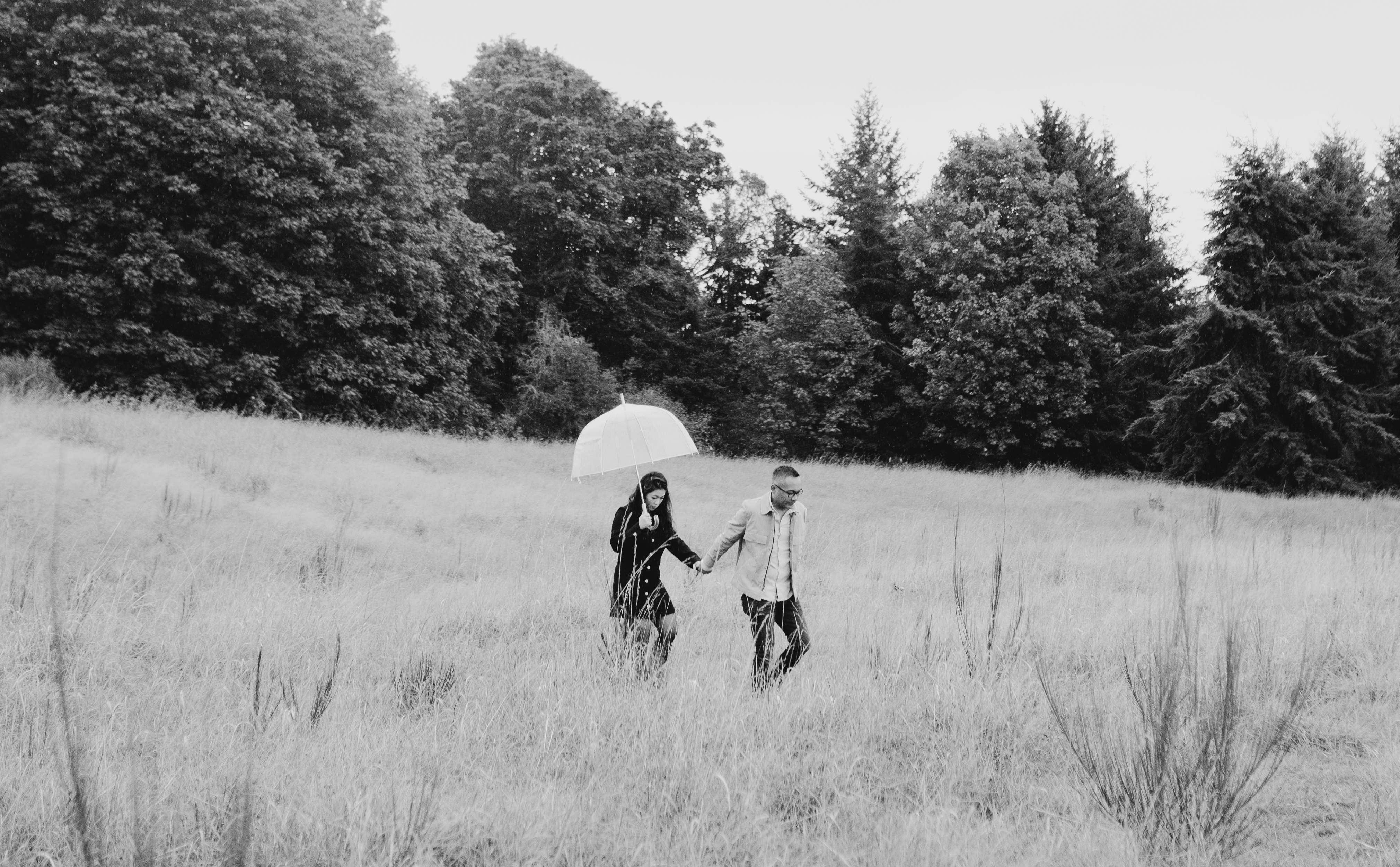 aa3f1d08-06ea-41ae-9a7d-ac356ace72e5