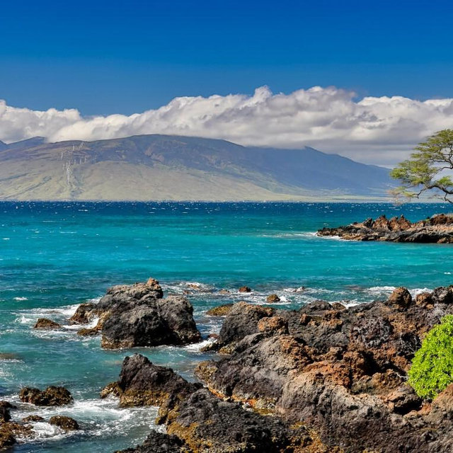 Hawaiian Family Moon