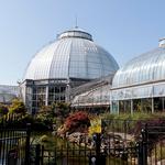 Belle Isle Conservancy