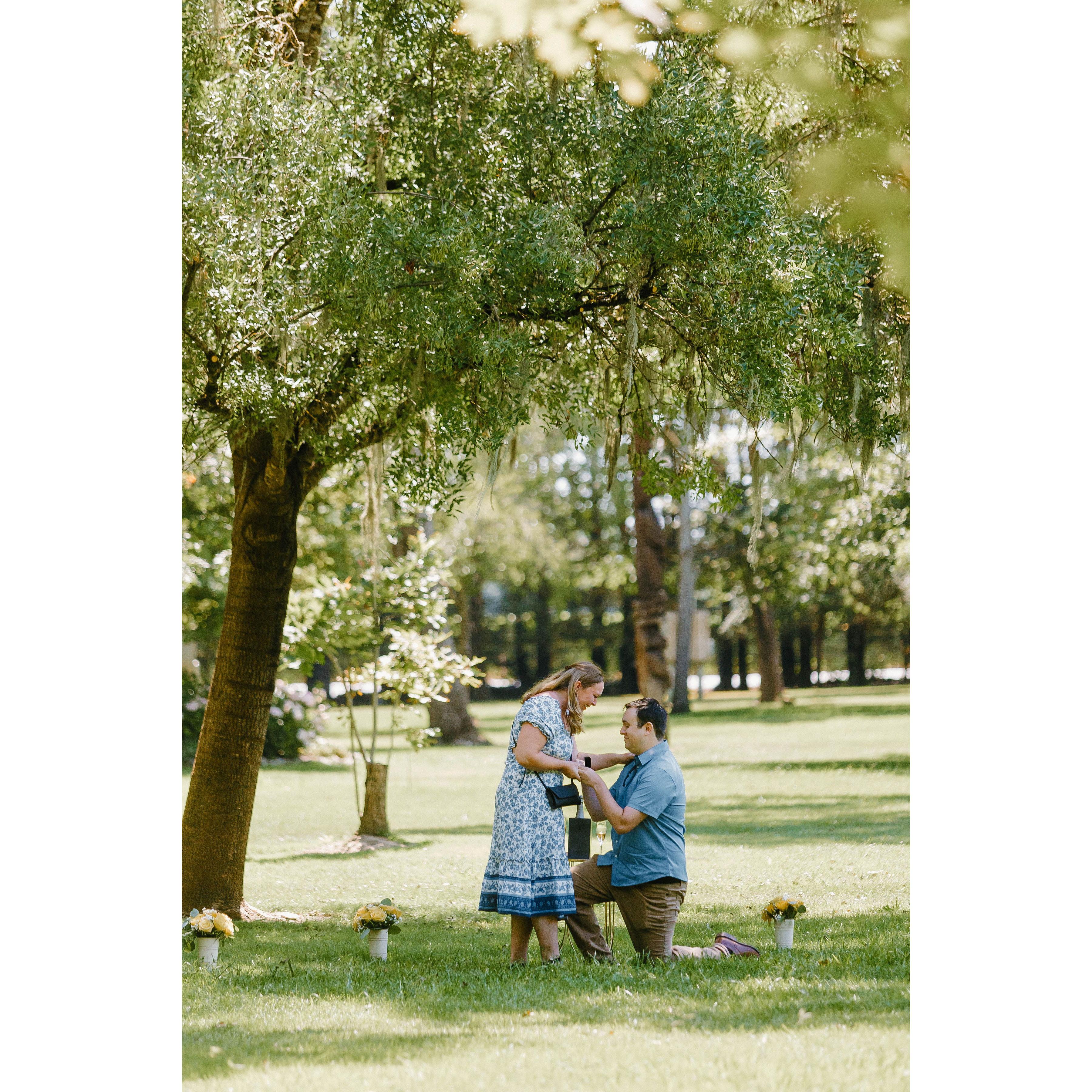 Kurt had set up a dream proposal in the grove where he popped the question.