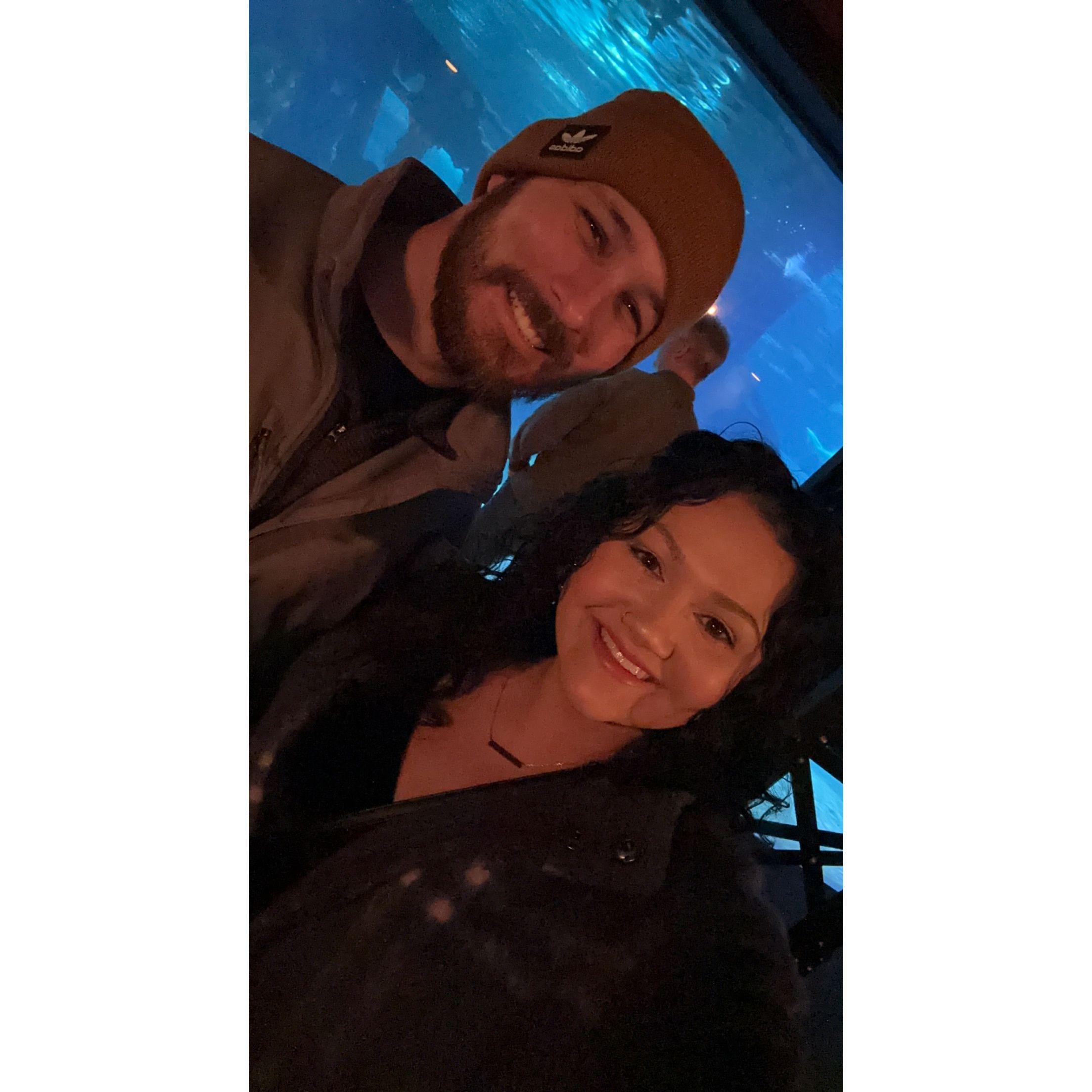 at the Cleveland aquarium the day we got engaged