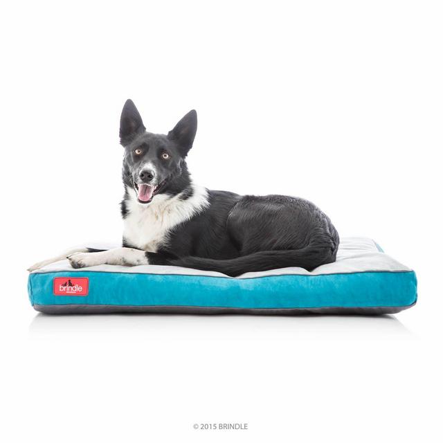 BRINDLE Soft Memory Foam Dog Bed with Removable Washable Cover