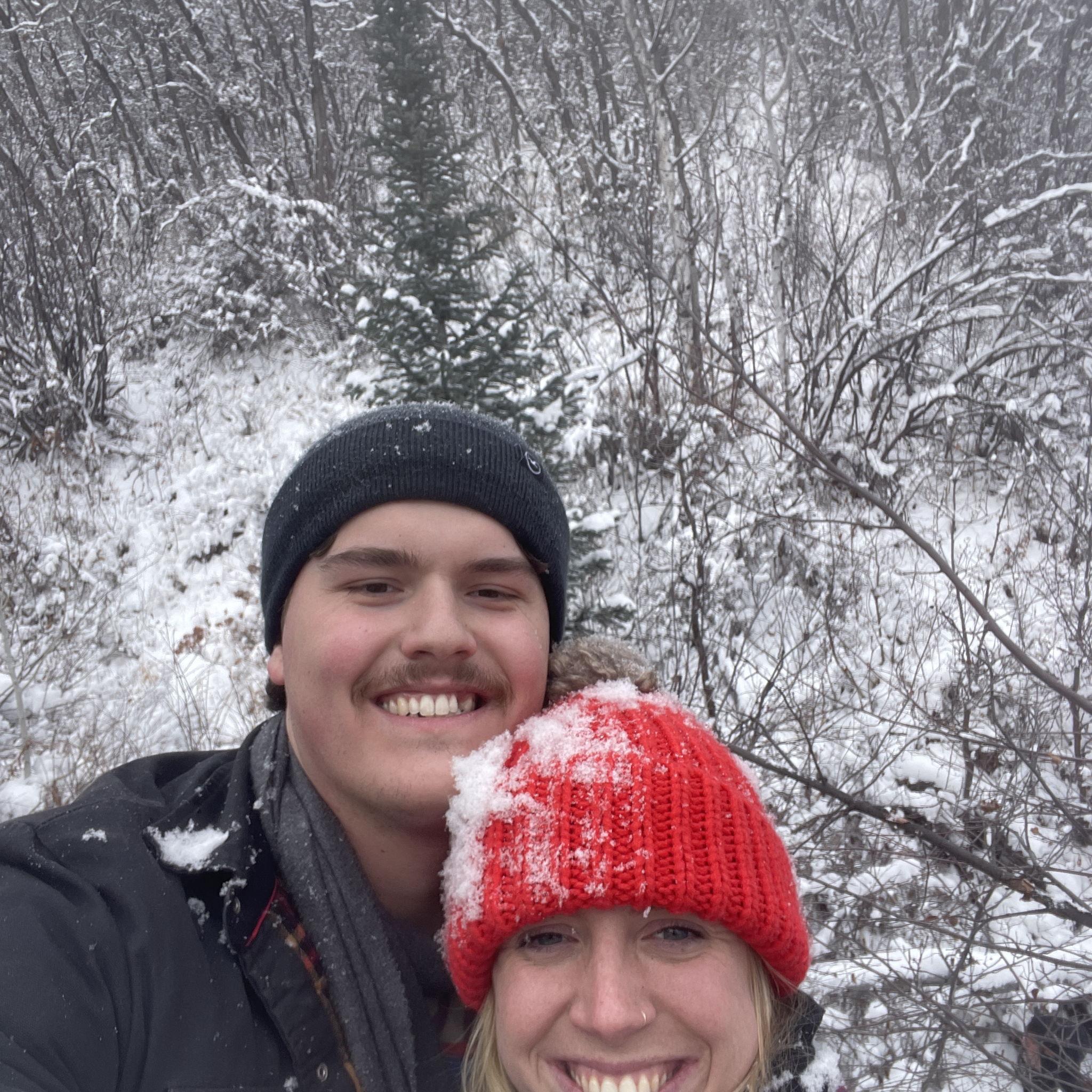 Christmas tree hunting!
