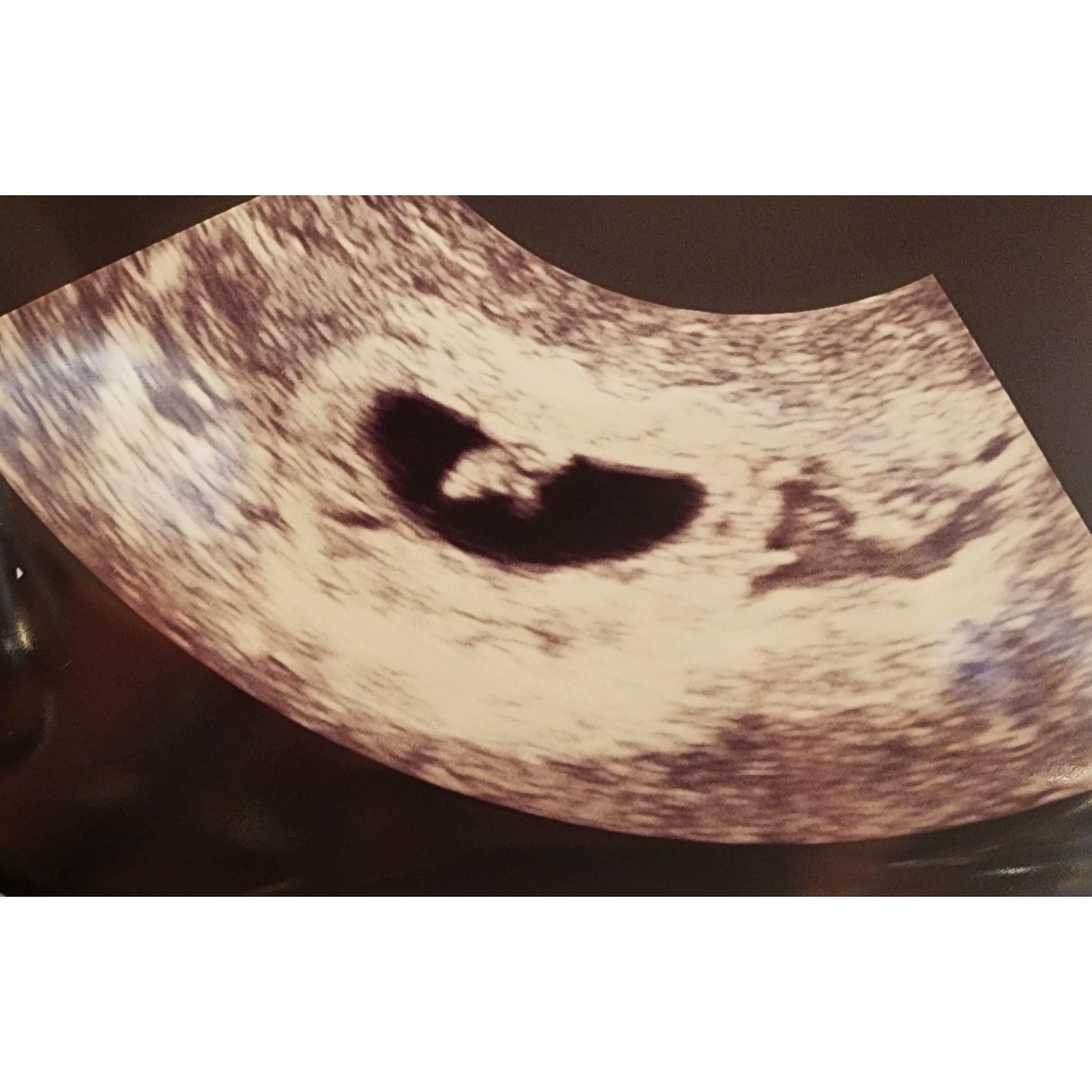 Our 6 Week old creation!!