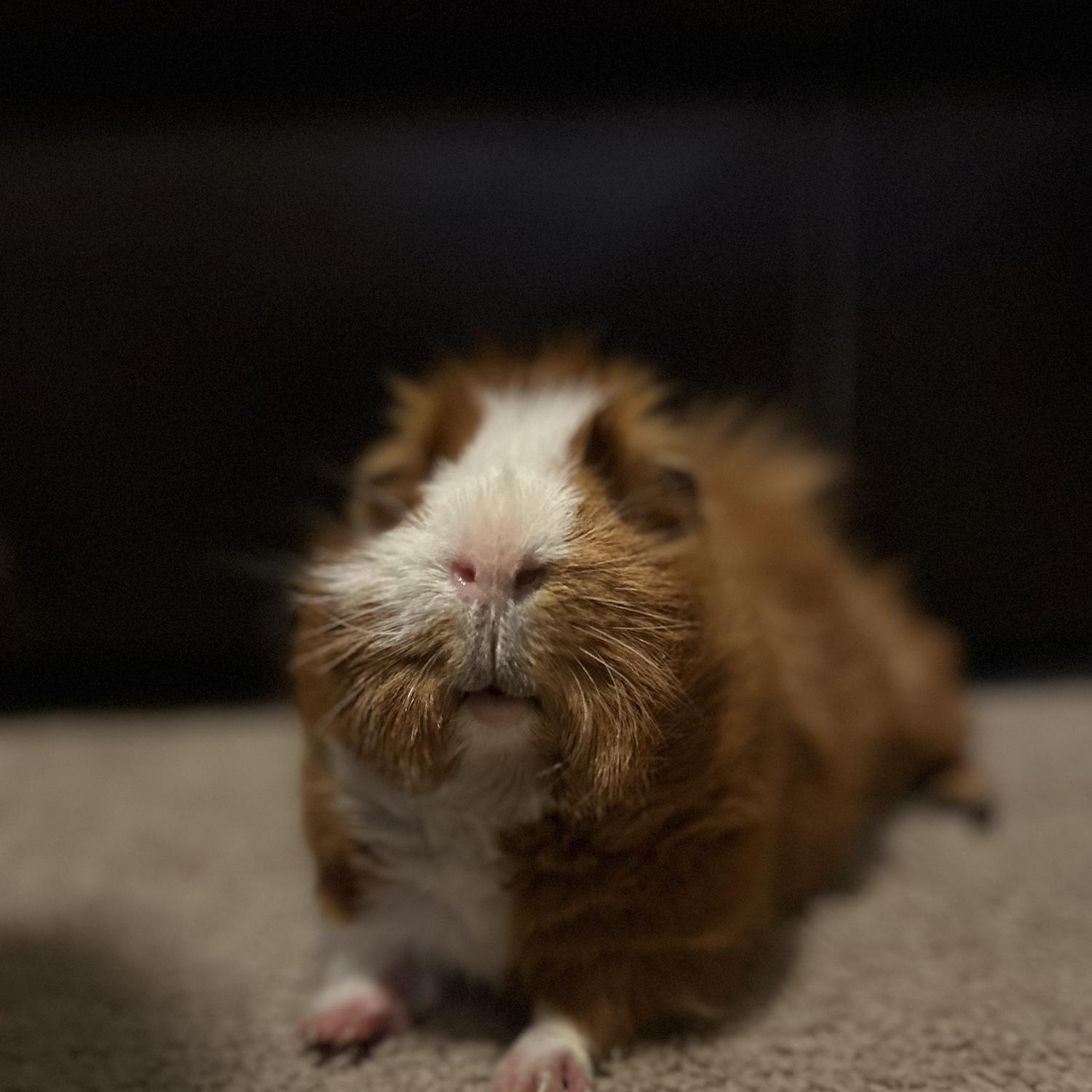 Charlie