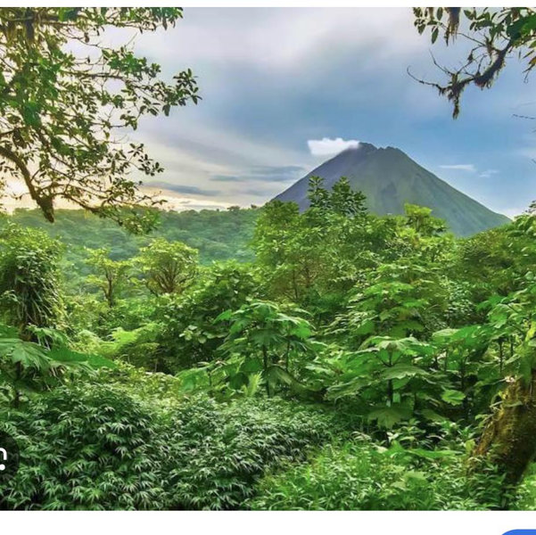 Costa Rica Honeymoon Fund & excursions