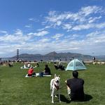 Presidio Tunnel Tops