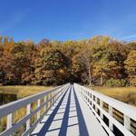 Sagamore Hill National Historic Site