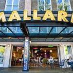 Mallard Ice Cream