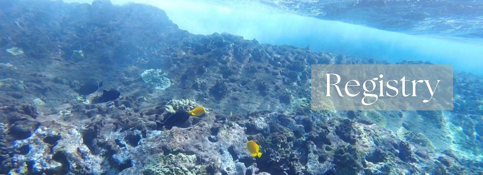 aa4d46b7-a31e-4870-8f4d-dd472fd2e5a7