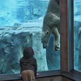 Utah's Hogle Zoo