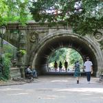 Take a stroll in Prospect Park