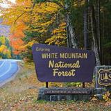 Other things to do in the White Mountains...