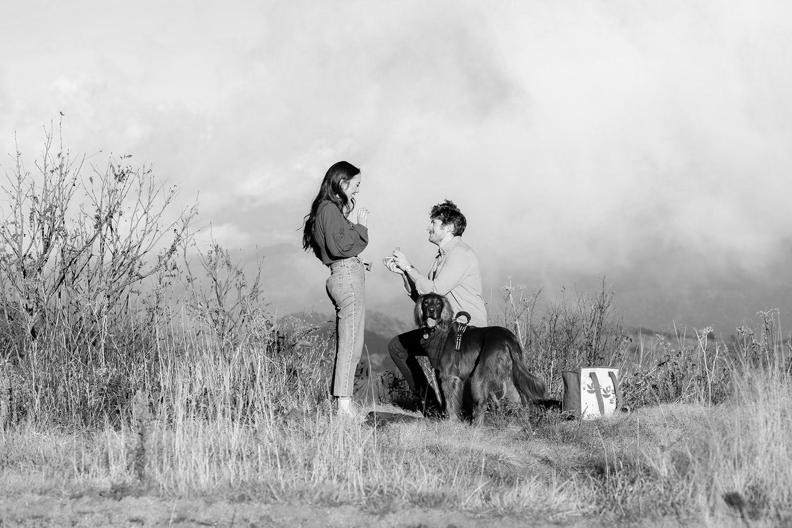 The Wedding Website of Natasha Dziarnowski and Ethan Porter