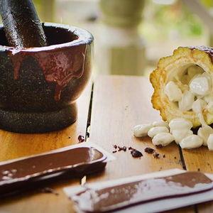 Honeymoon Cacao Farm Tour and Create Your Own Chocolate Bar Experience