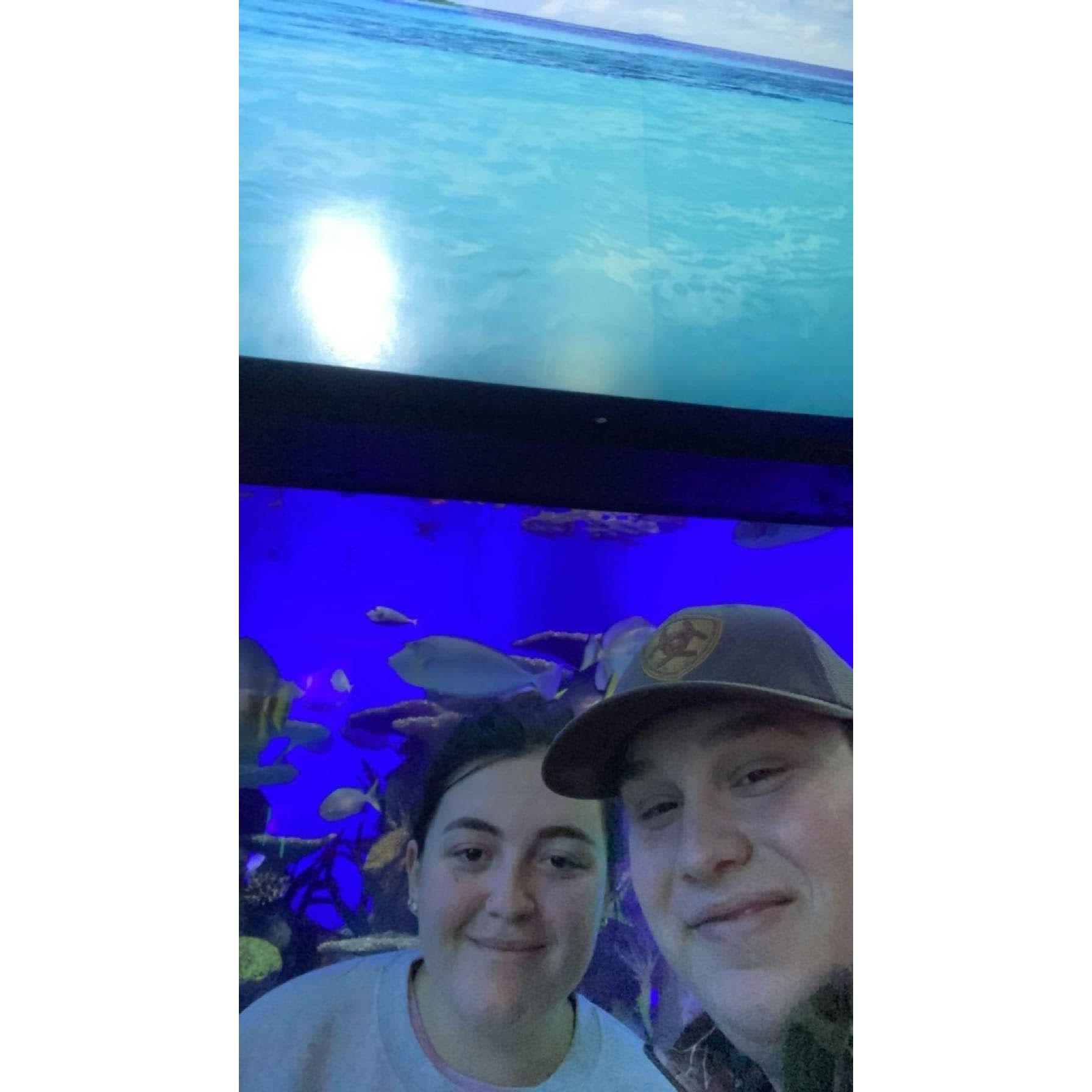 Our very first date to the aquarium