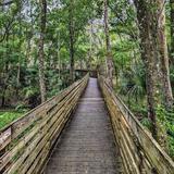 Lettuce Lake Park