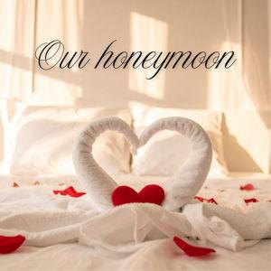 Our honeymoon fund