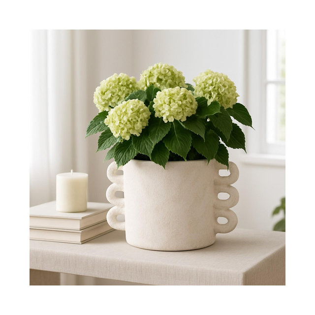 Pottery Arch Handle Planter for Home Decor - Decorative Flower Pot for Living Room Decor, Shelf Accent, and Patio - Indoor and Outdoor - 8", White