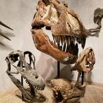 Denver Museum of Nature & Science