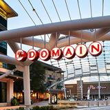 The Domain