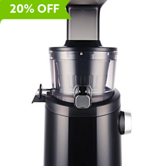 H101 Easy Clean Slow Juicer