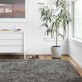 Mila Shag Rug